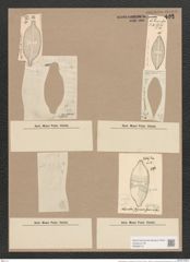 Navicula gastrum var. styriaca Grun. (de-Toni-Nr.: Genus 1, Species 131) Zeichnungen Sammlung Grunow Nr. 409 (NHMW-BOT-W0366716)